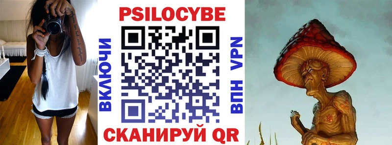 Галлюциногенные грибы Psilocybine cubensis мориарти как зайти Бавлы купить наркотик